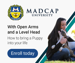 Enroll today at Madcap University