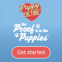 Get started with Puppy Culture