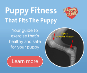 Puppy Fitness That Fits The Puppy