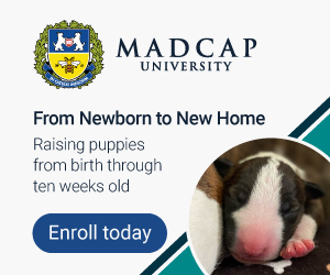 From Newborn to New Home
