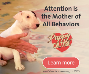 Attention Is the Mother of All Behaviors