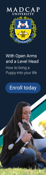 Enroll today at Madcap University Enroll today at Madcap University