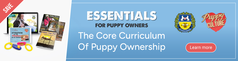 Essentials for Puppy Owners