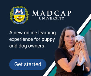 Get started with Madcap University