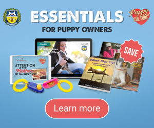Essentials for Puppy Owners Essentials for Puppy Owners